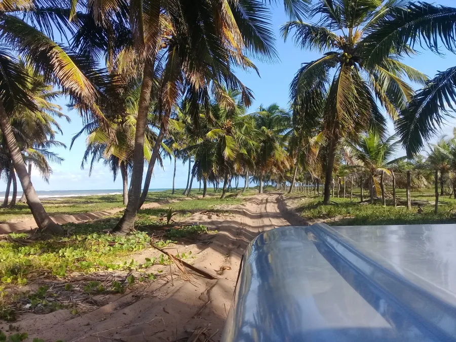 Passeio de buggy