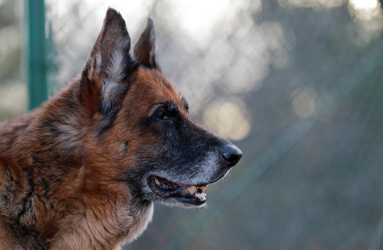 Spaete Ankunft, kleine Rente? Was zu tun ist
