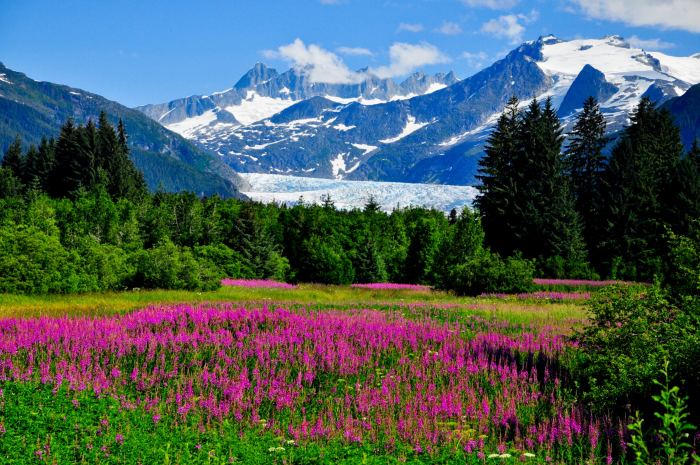Prístav Juneau, Aljaška (USA)