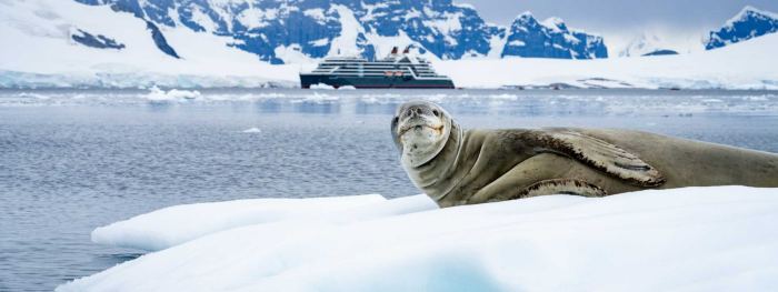GRAND EXPEDITION: Od pólu k pólu