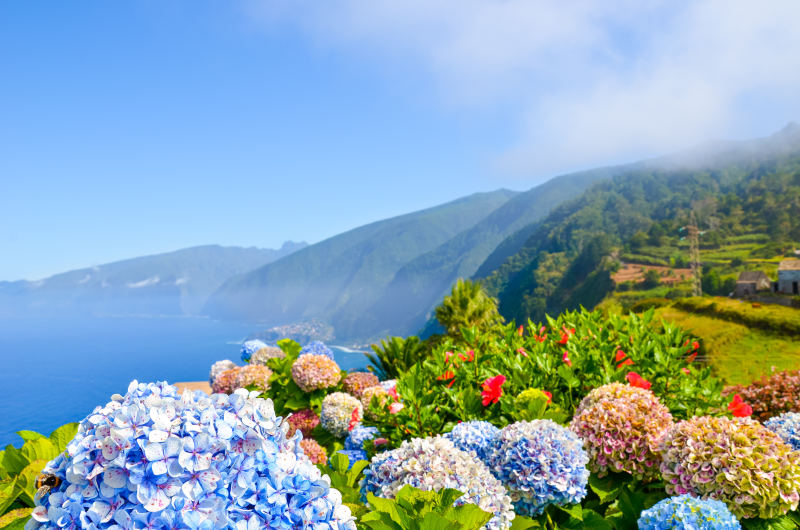 Kanárske ostrovy a Madeira