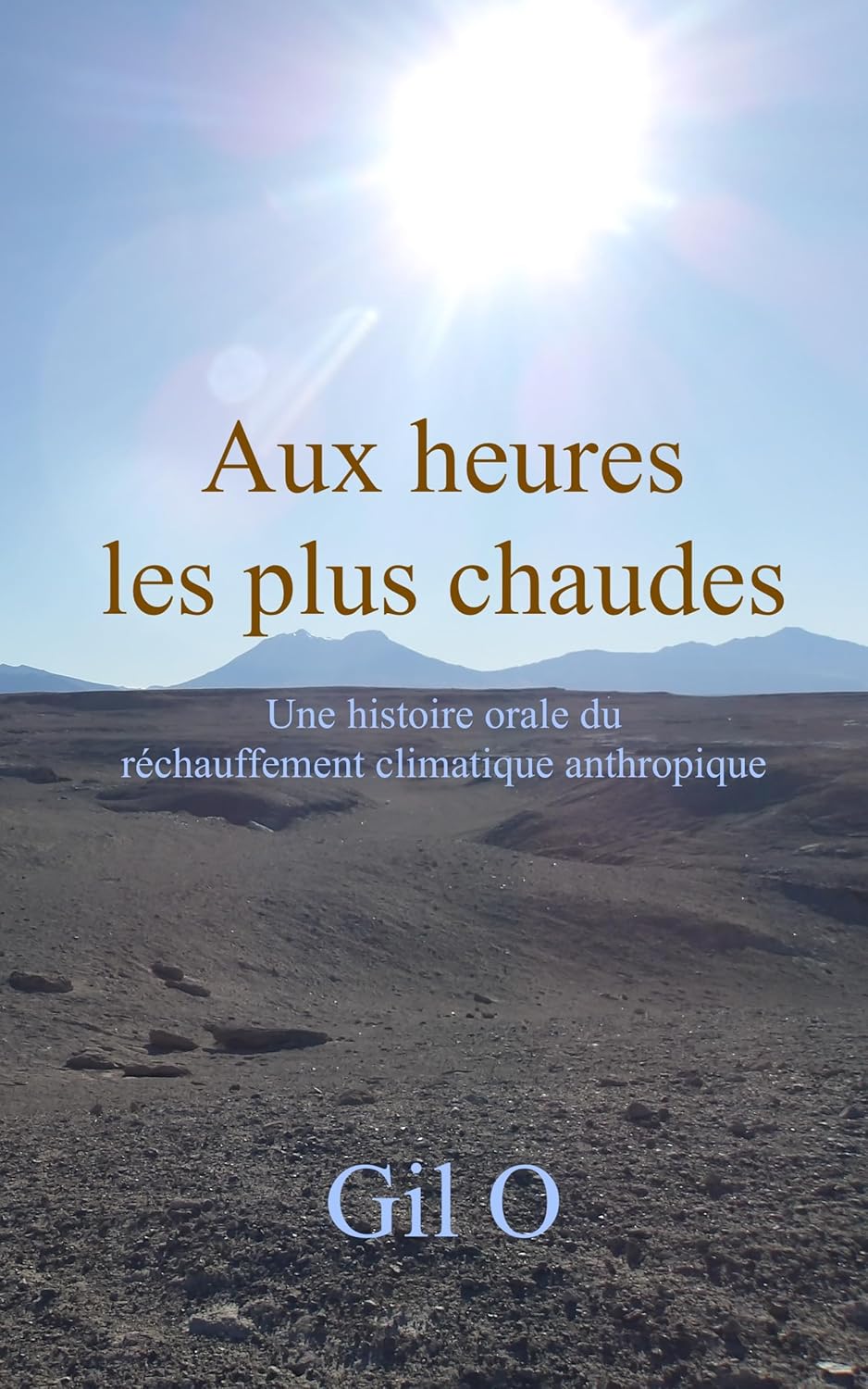 Vue 5 de Drawdown Comment Inverser Le