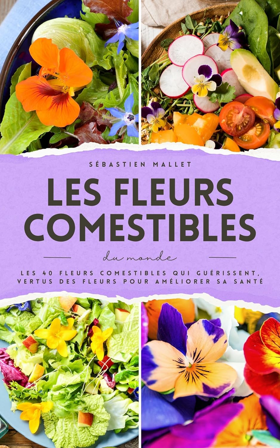 Vue 7 de Plantes Comestibles