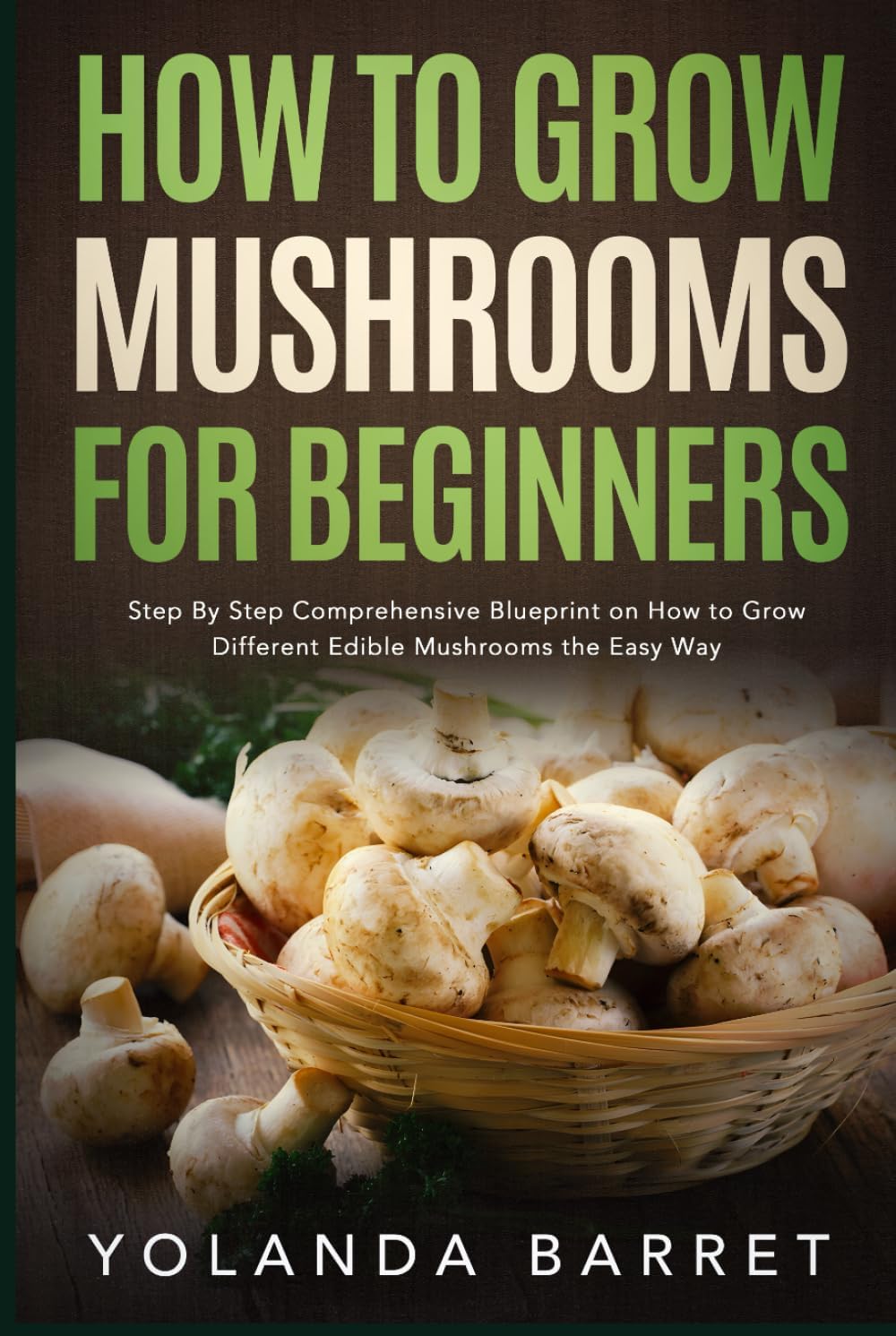 Vue 7 de Un Sol Vivant Un