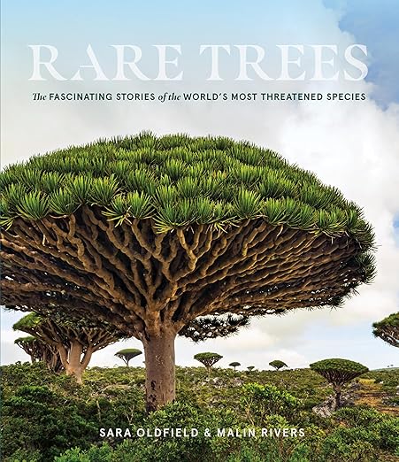 Rare Trees The Fascinating