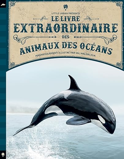 Le Livre Extraordinaire Des