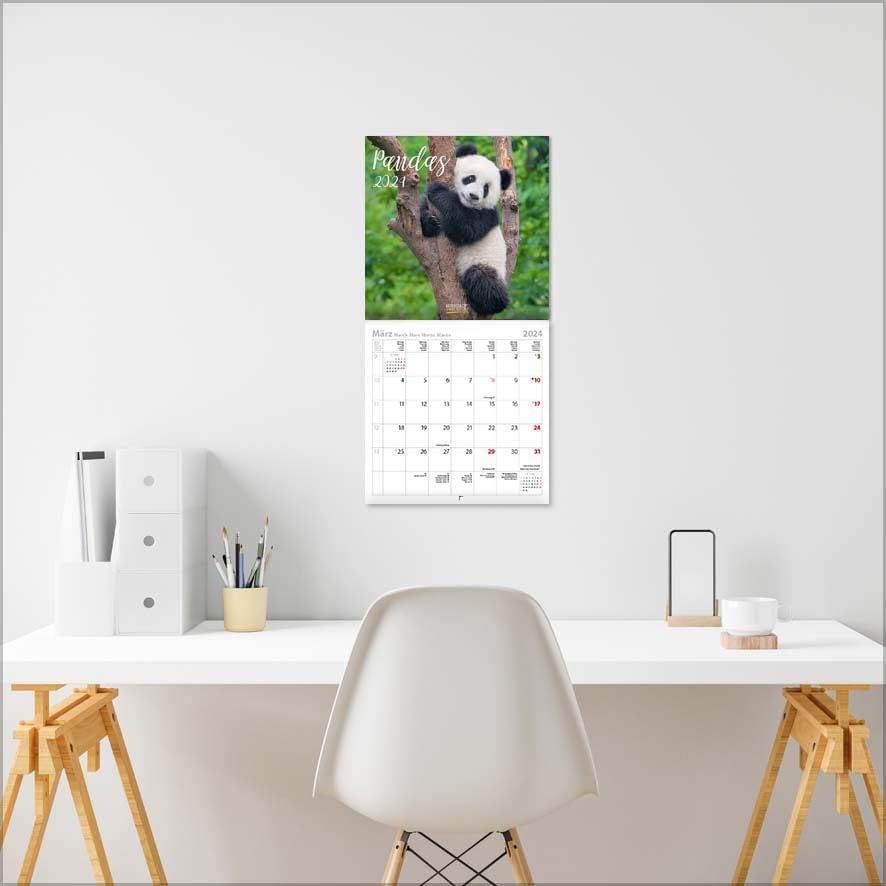 Vue 2 de Pandas Calendrier Avec Brochures