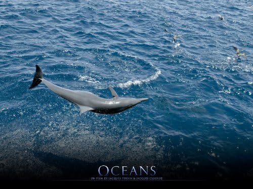 Vue 4 de Oceans Cesar Du Meilleur