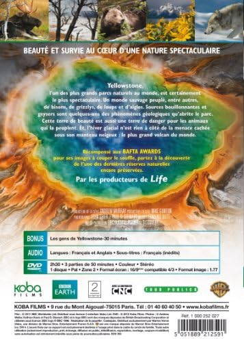 Vue 2 de Yellowstone