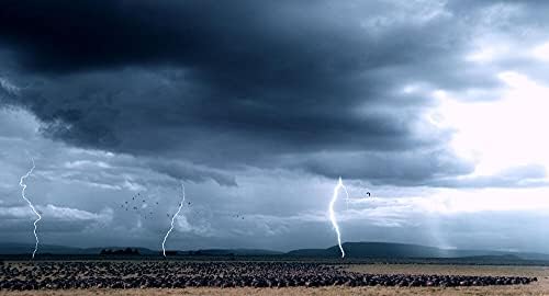 Vue 3 de Nature Bluray Bluray