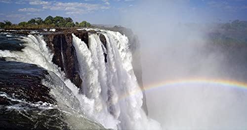 Vue 4 de Nature Bluray Bluray