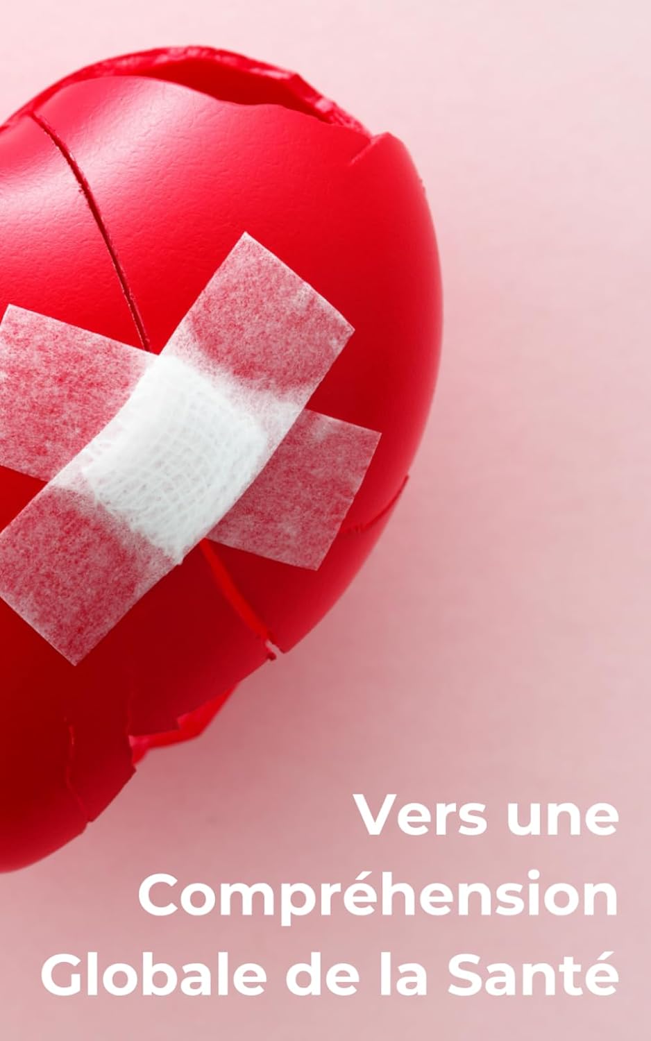 Vue 4 de Traite De La Pleine