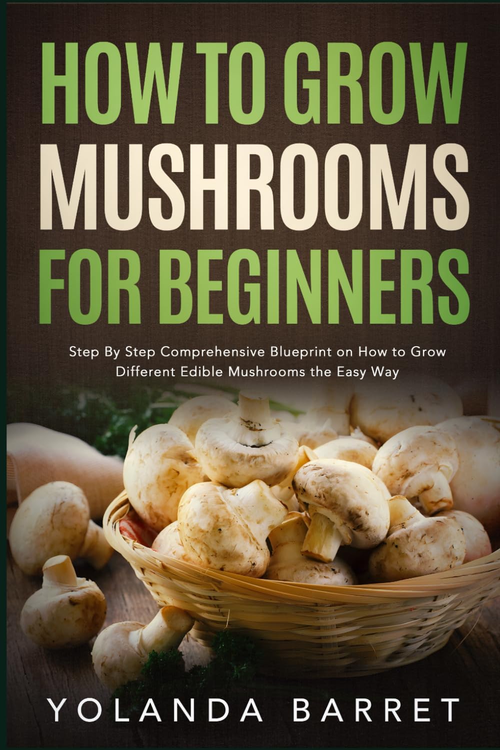 Vue 3 de Stable Isotope Ecology