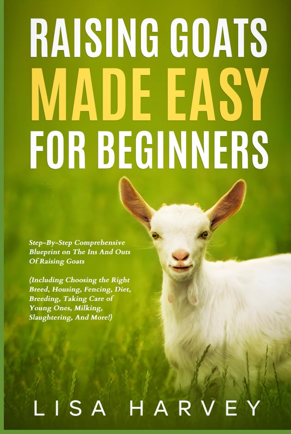 Vue 6 de Orca How We Came