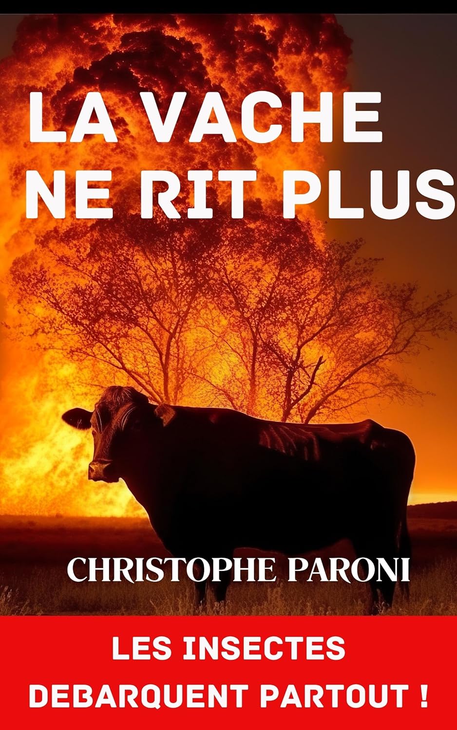 Vue 6 de Le Sol La Terre