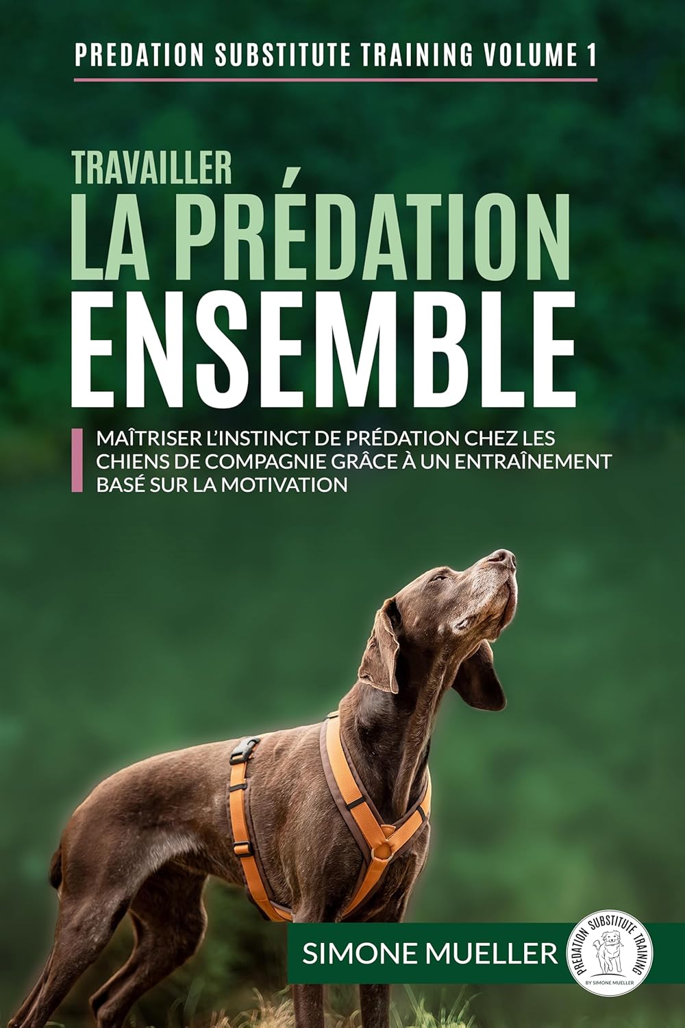 Vue 3 de Guide Des Galles De