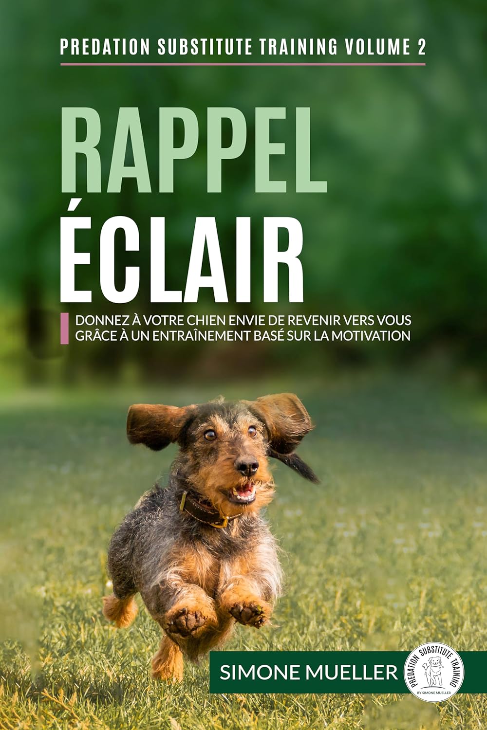 Vue 5 de Guide Des Galles De