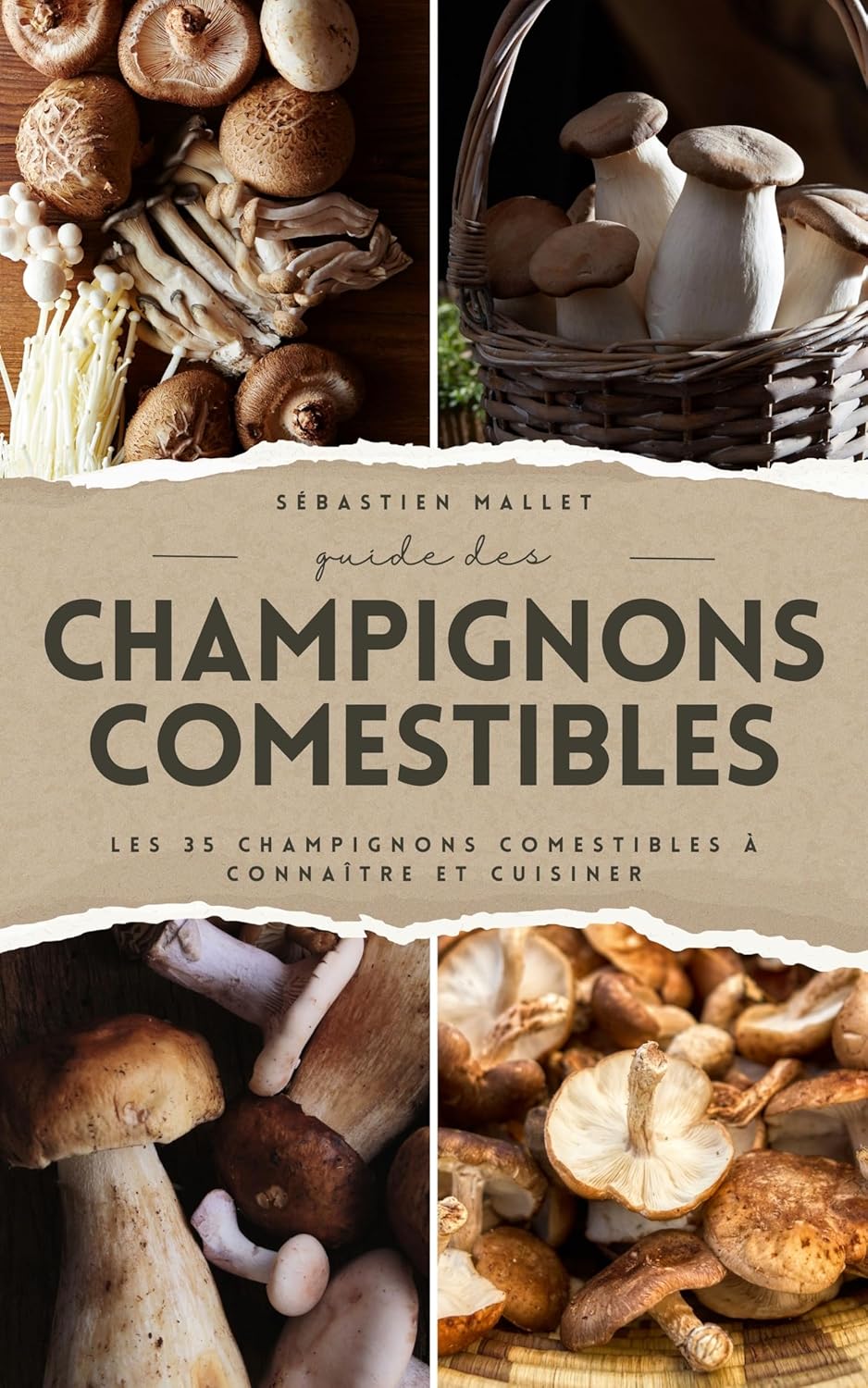 Vue 5 de Le Guide Des Champignons