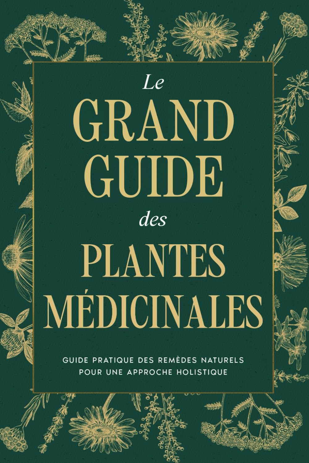 Vue 3 de Les Bases De La