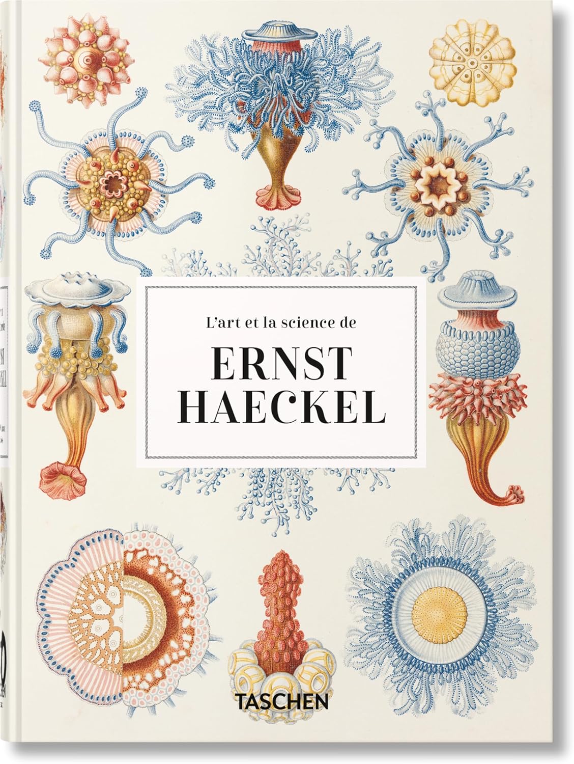 Vue 7 de Les Bases De La