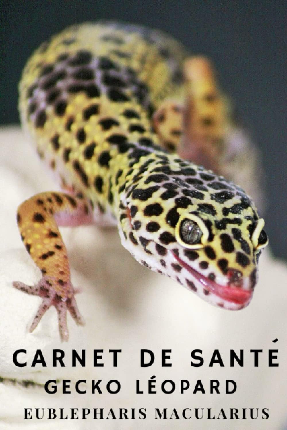 Vue 2 de Guide Delachaux Des Amphibiens