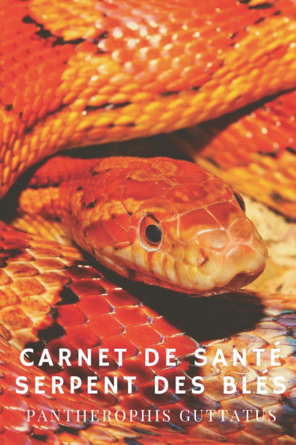 Vue 6 de Guide Delachaux Des Amphibiens