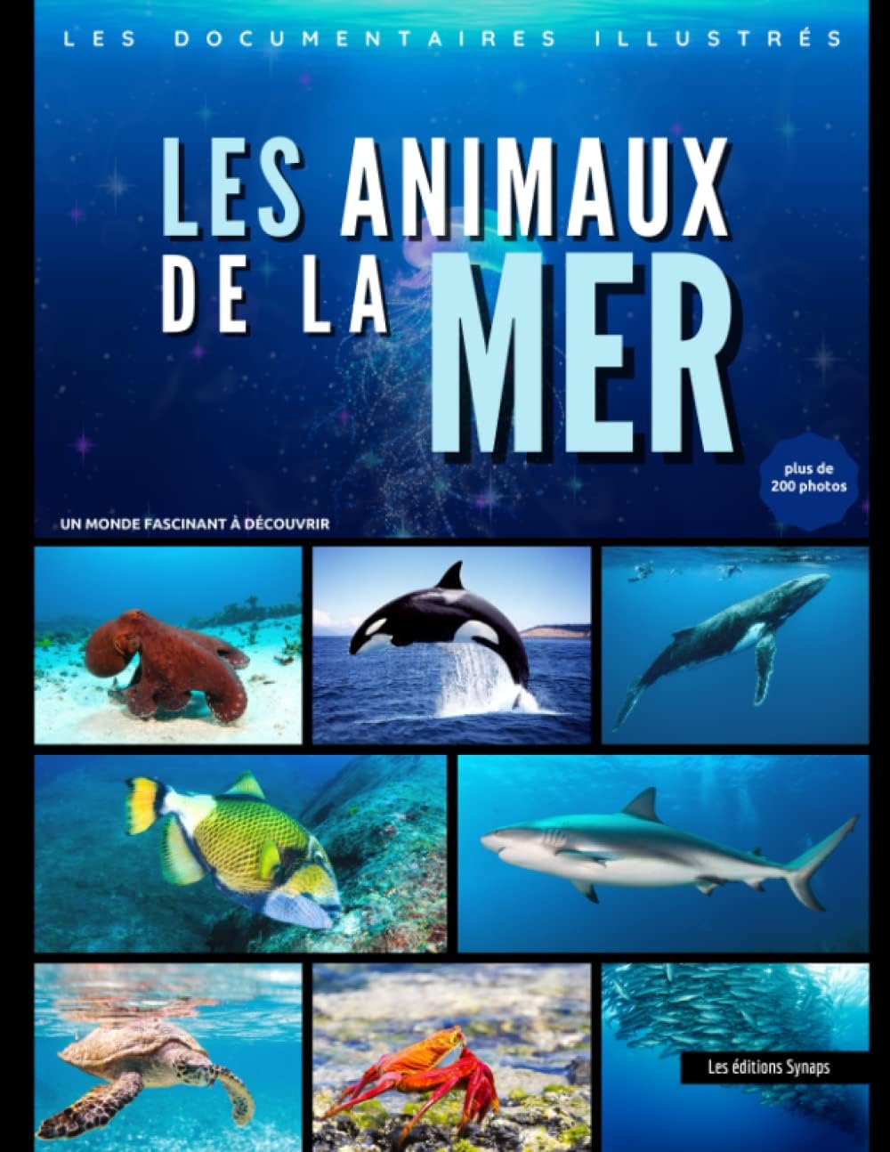 Vue 2 de Guide Des Bords De