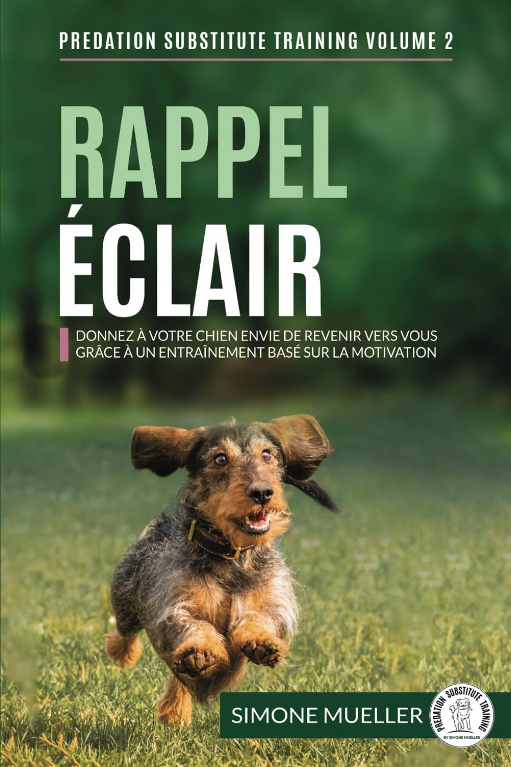 Vue 3 de Guide Des Bords De