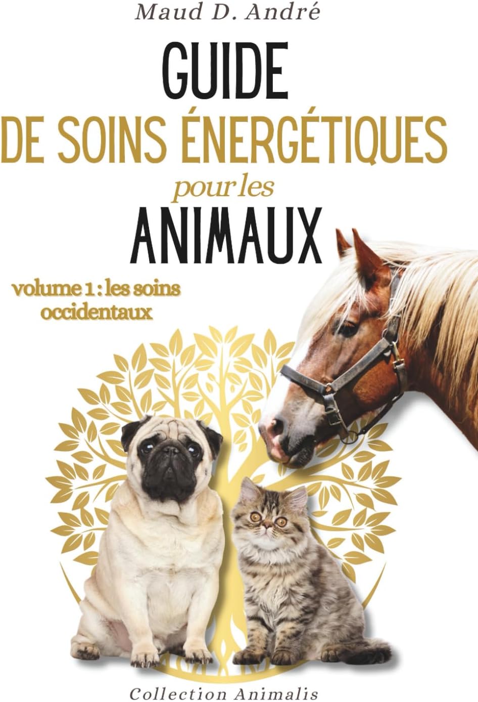 Vue 4 de Identifier Les Roches Cles