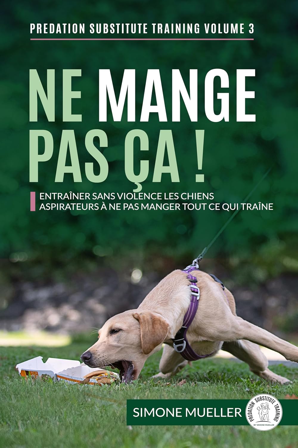 Vue 6 de Identifier Les Roches Cles