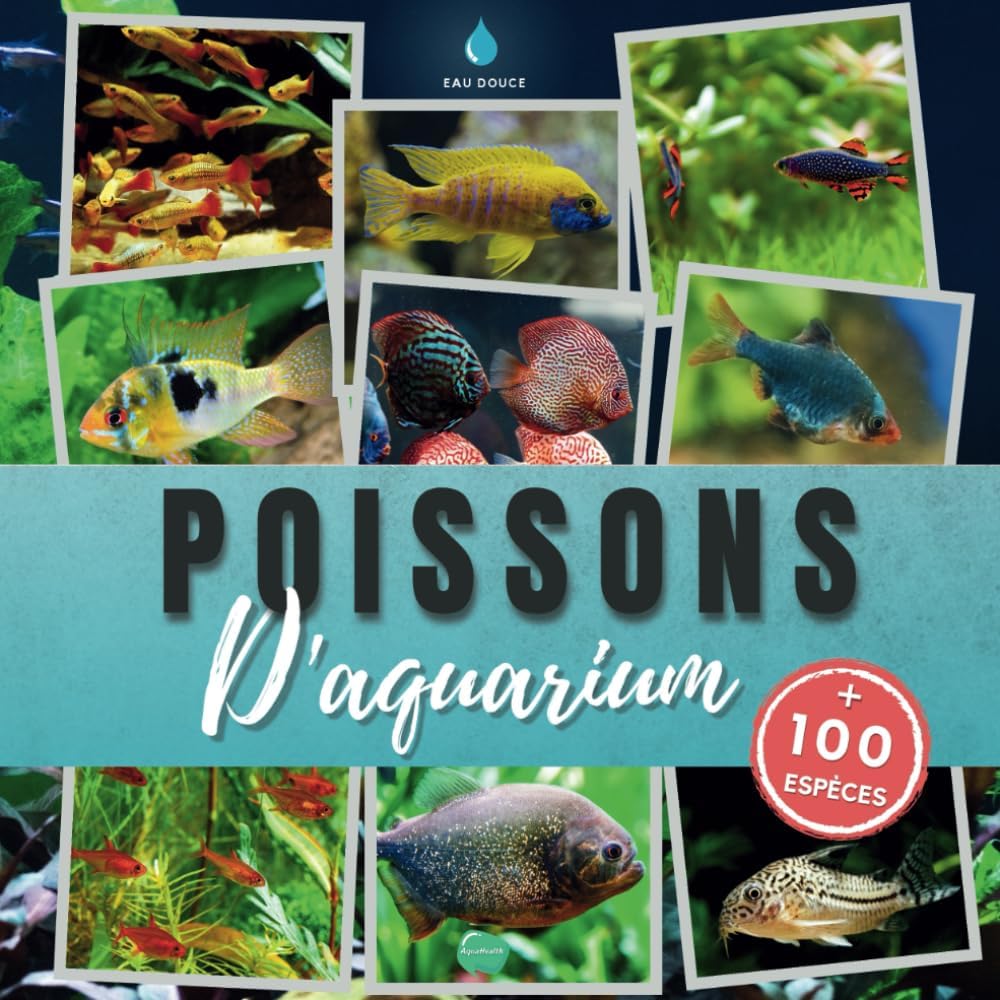 Vue 3 de Guide Des Poissons De