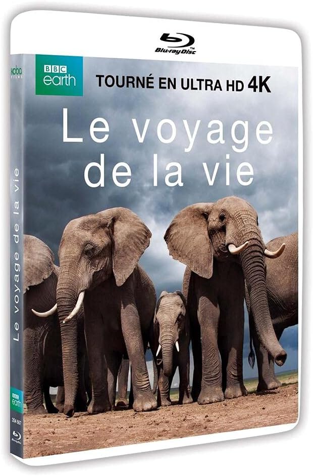 Le Voyage De La