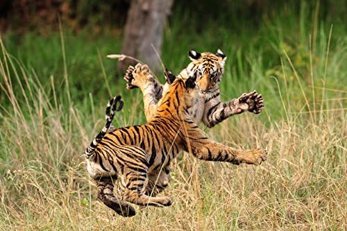 Vue 4 de Le Voyage De La