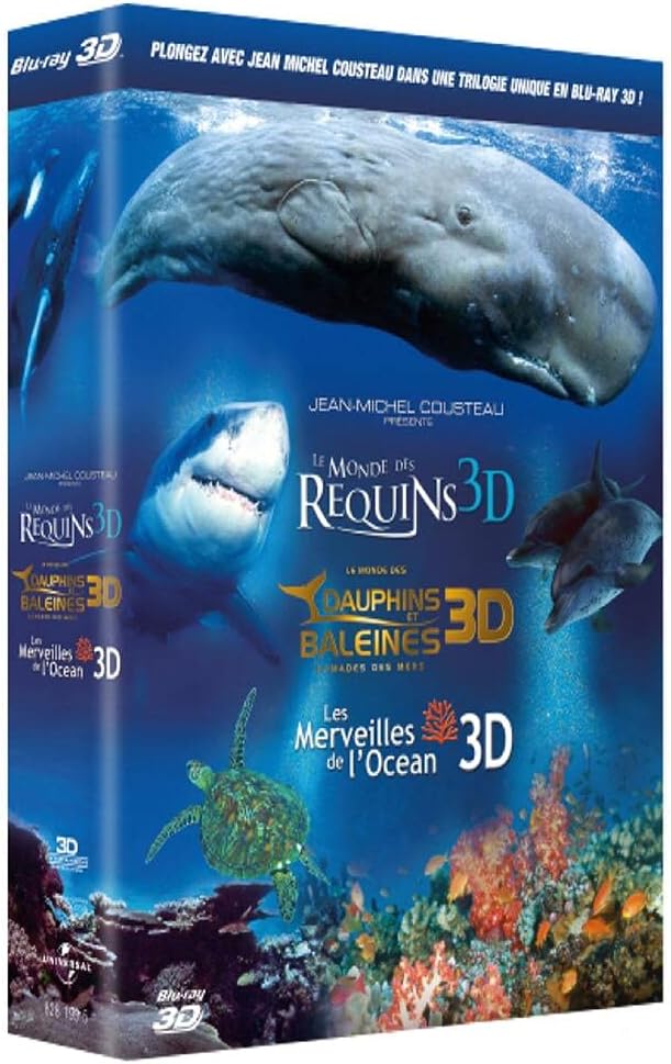 Requins Monde Des Dauphins