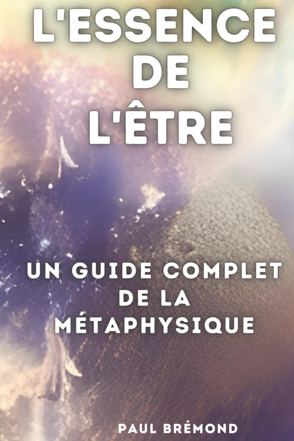 Vue 2 de Metaphysique De Lanthropocene Nihilisme