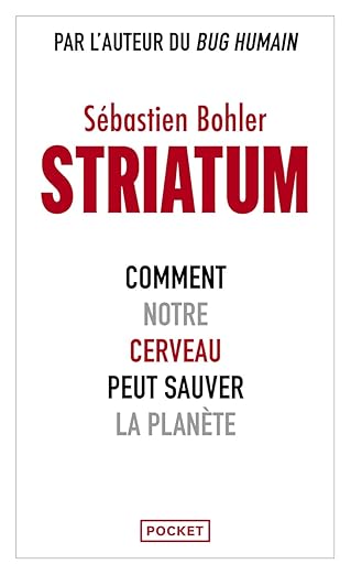Striatum