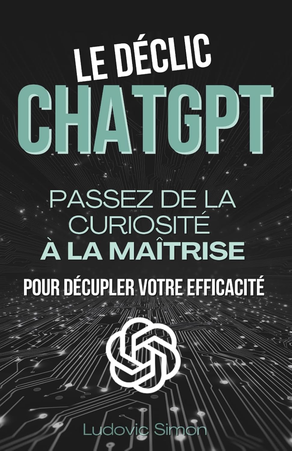 Vue 2 de Declinocene