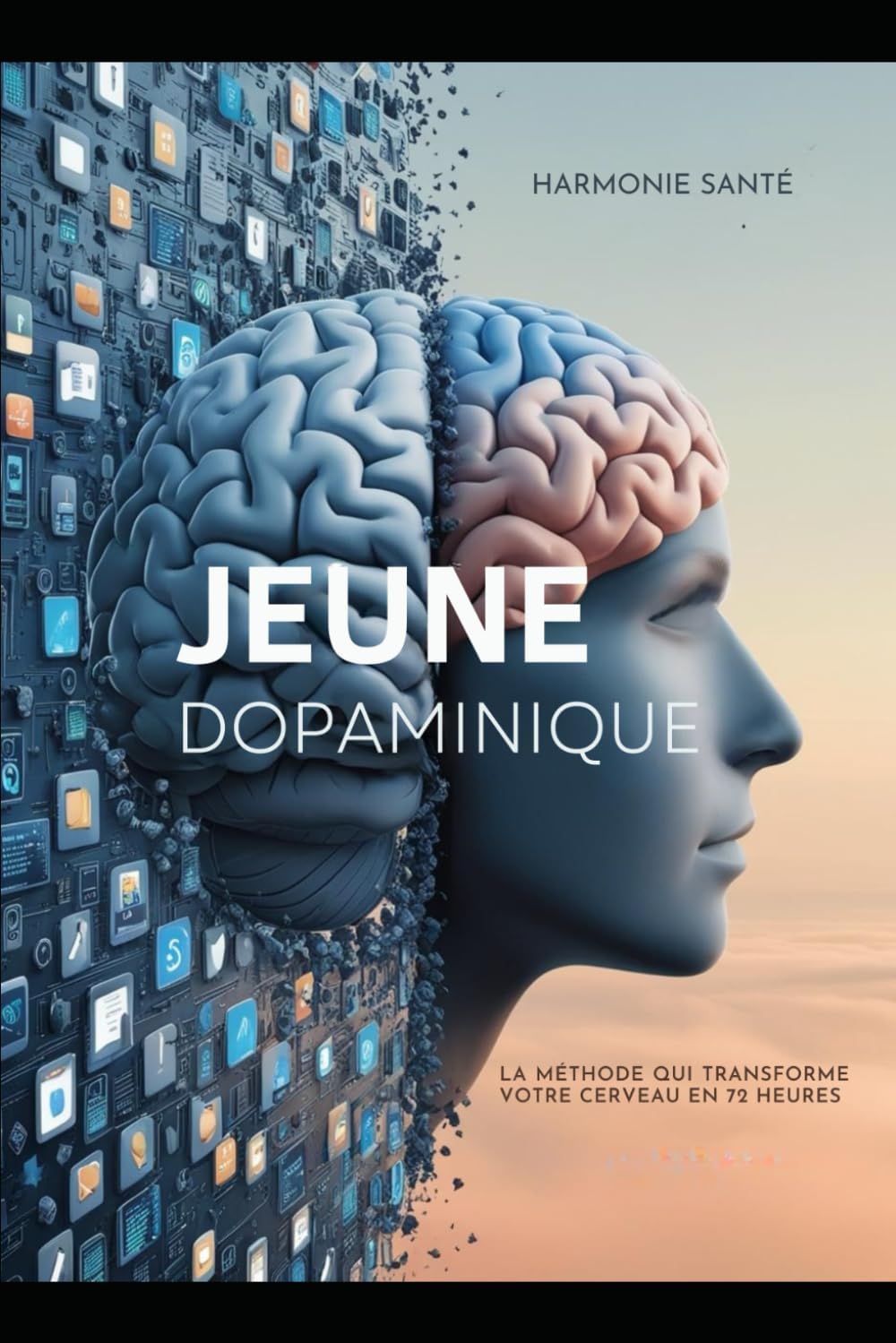 Vue 2 de Nos Limites Pour Une