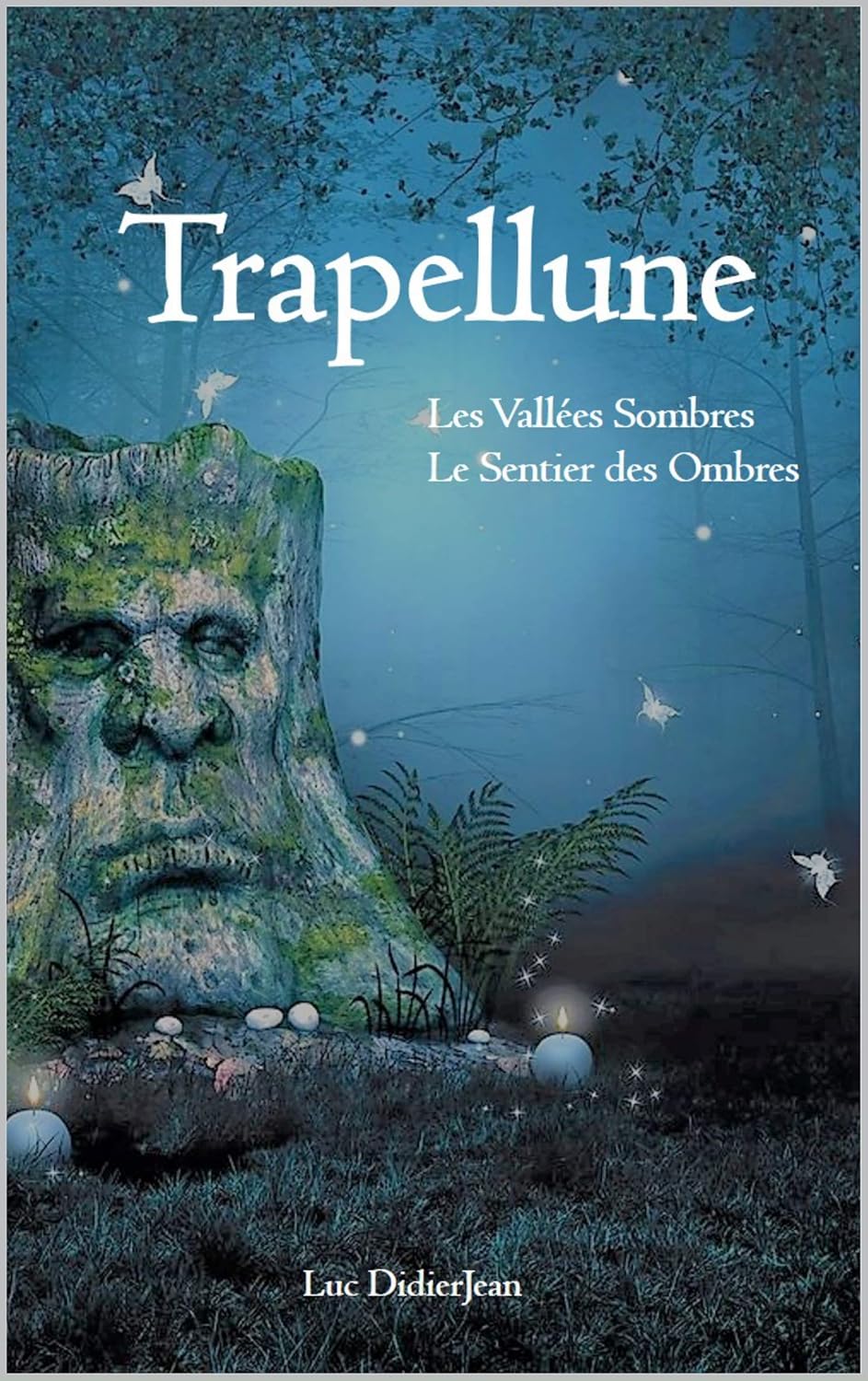 Vue 2 de La Montagne