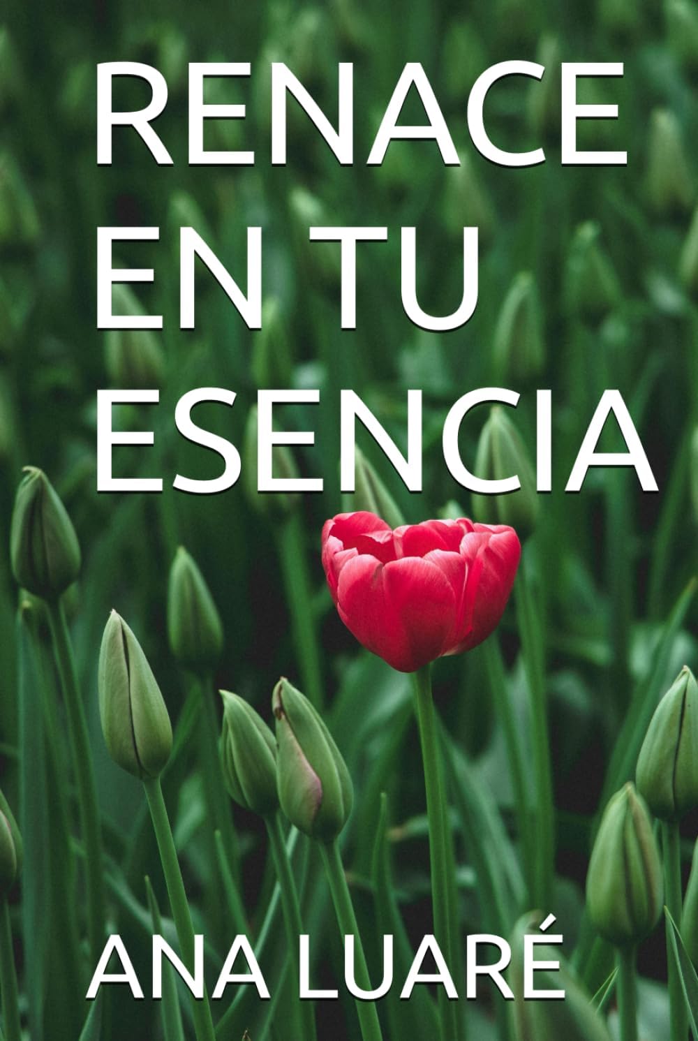 Vue 7 de Apres La Pluie Comprendre