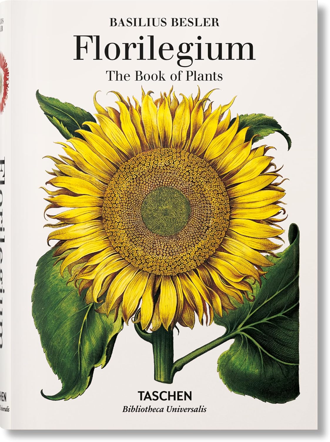 Vue 7 de Vegetal Explorer Le Monde