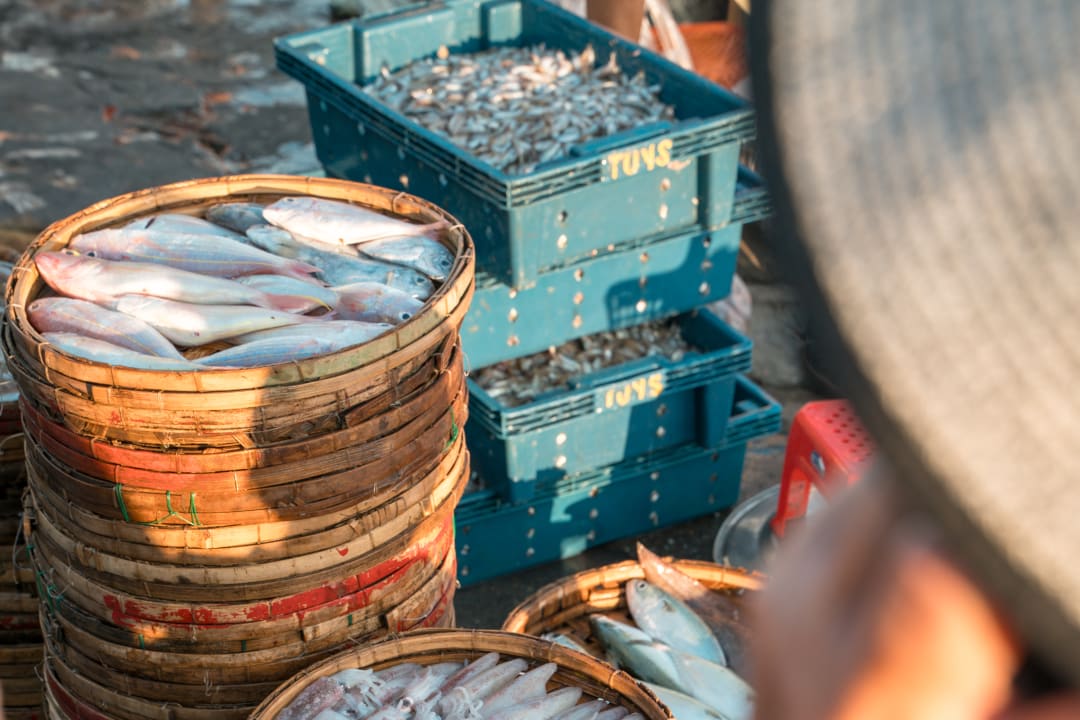 Squid arranged in a bamboo basket