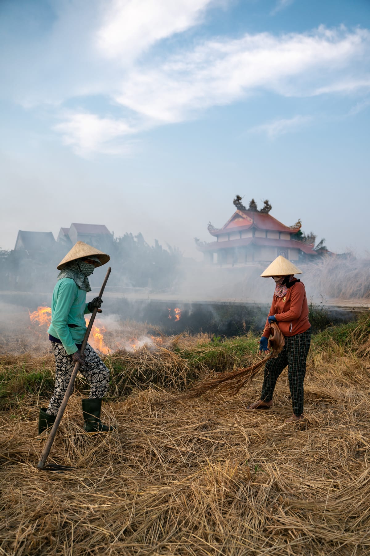 Controlled burning occurs following the harvest — Pete Walls