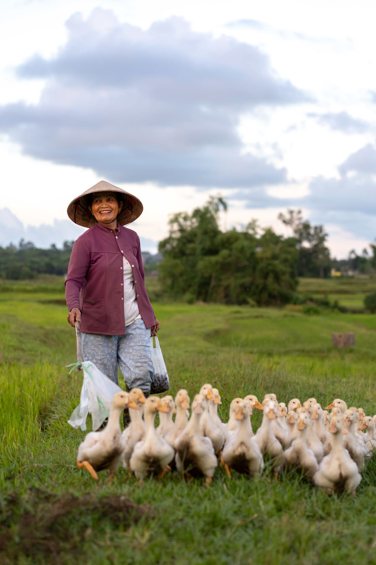 A laughing woman in a conical hat and maroon jacket herds a flock of white ducks across wet grass at the edge of a rice field under a cloudy sky — Pete Walls