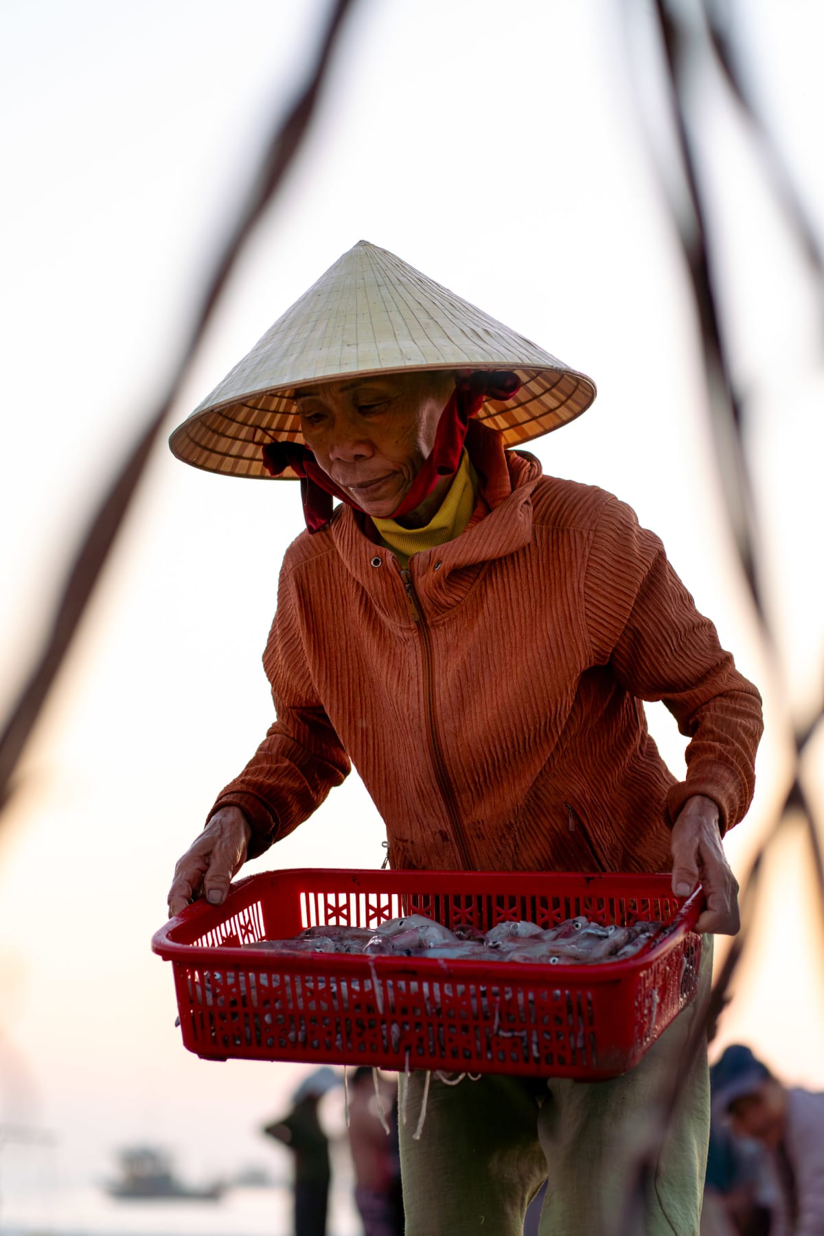 fisherwoman carrying fresh squid at sunrise — Pete Walls