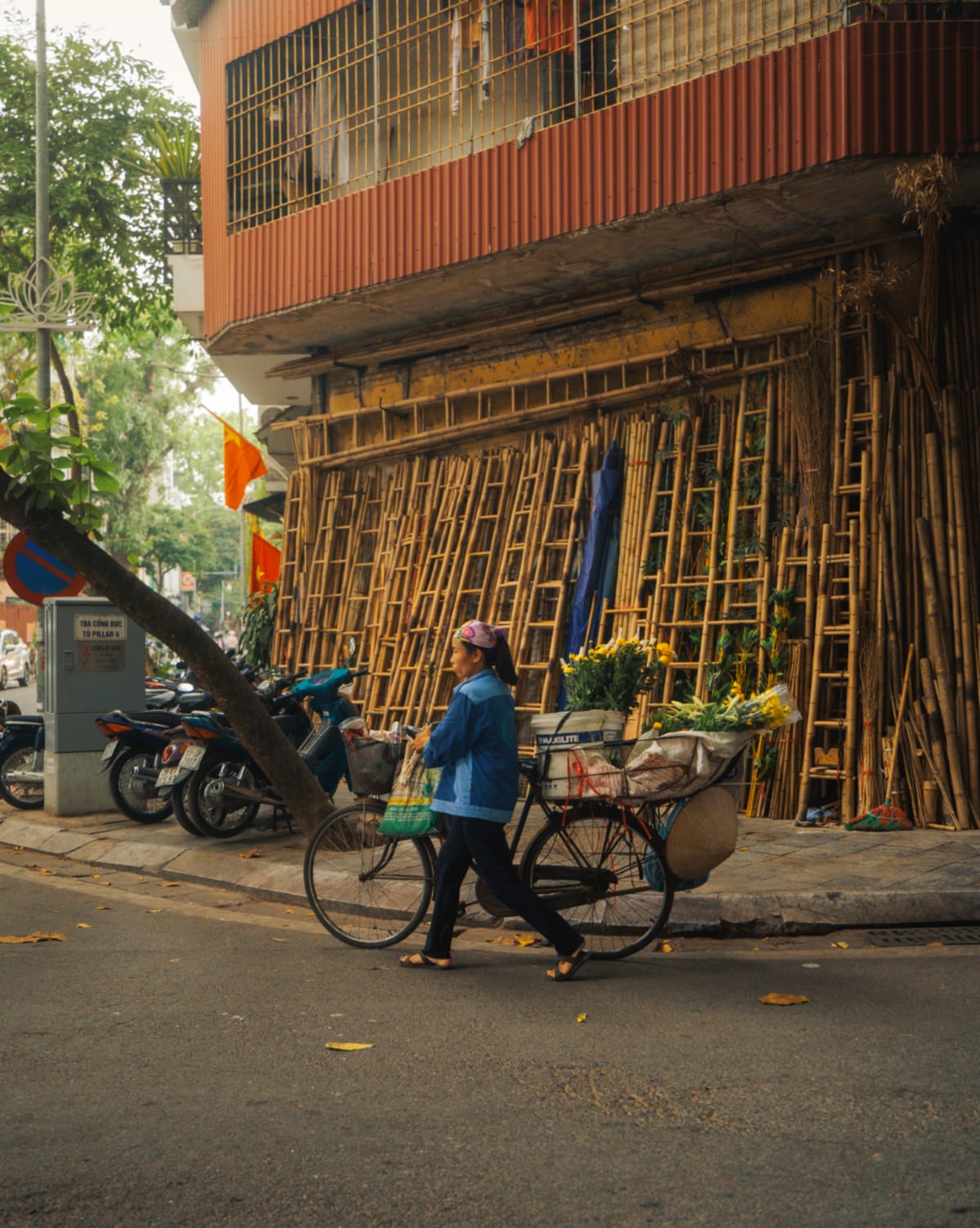 flower bicycle old quarter — Jimmy Ky