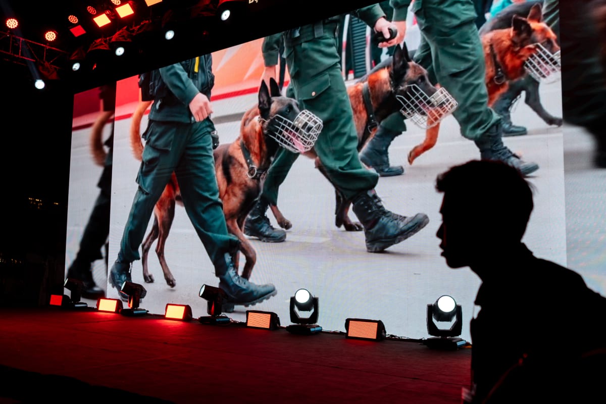 A silhouetted spectator watches a giant outdoor LED screen showing muzzled police dogs marching beside green-uniformed handlers above red and white stage lights — Antonio di Vico