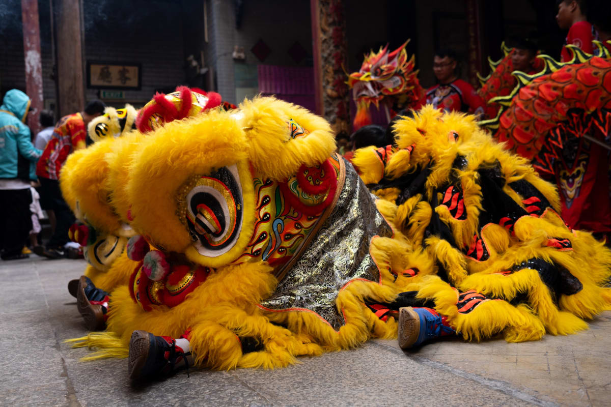 A heap of yellow lion dance costumes rests on the temple floor, performers' sneakers poking out beneath the fur — Luke Neville