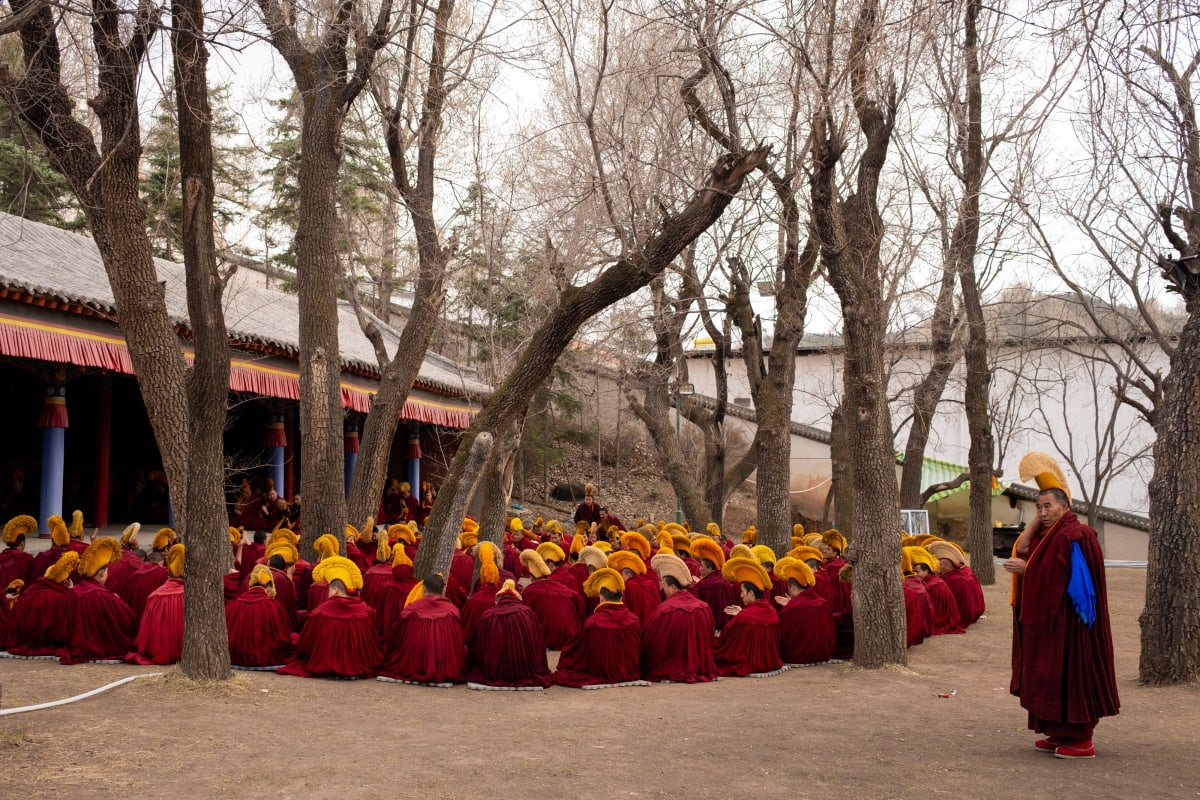 Dozens of monks in crimson robes and yellow crests sit gathered beneath bare trees — Luke Neville