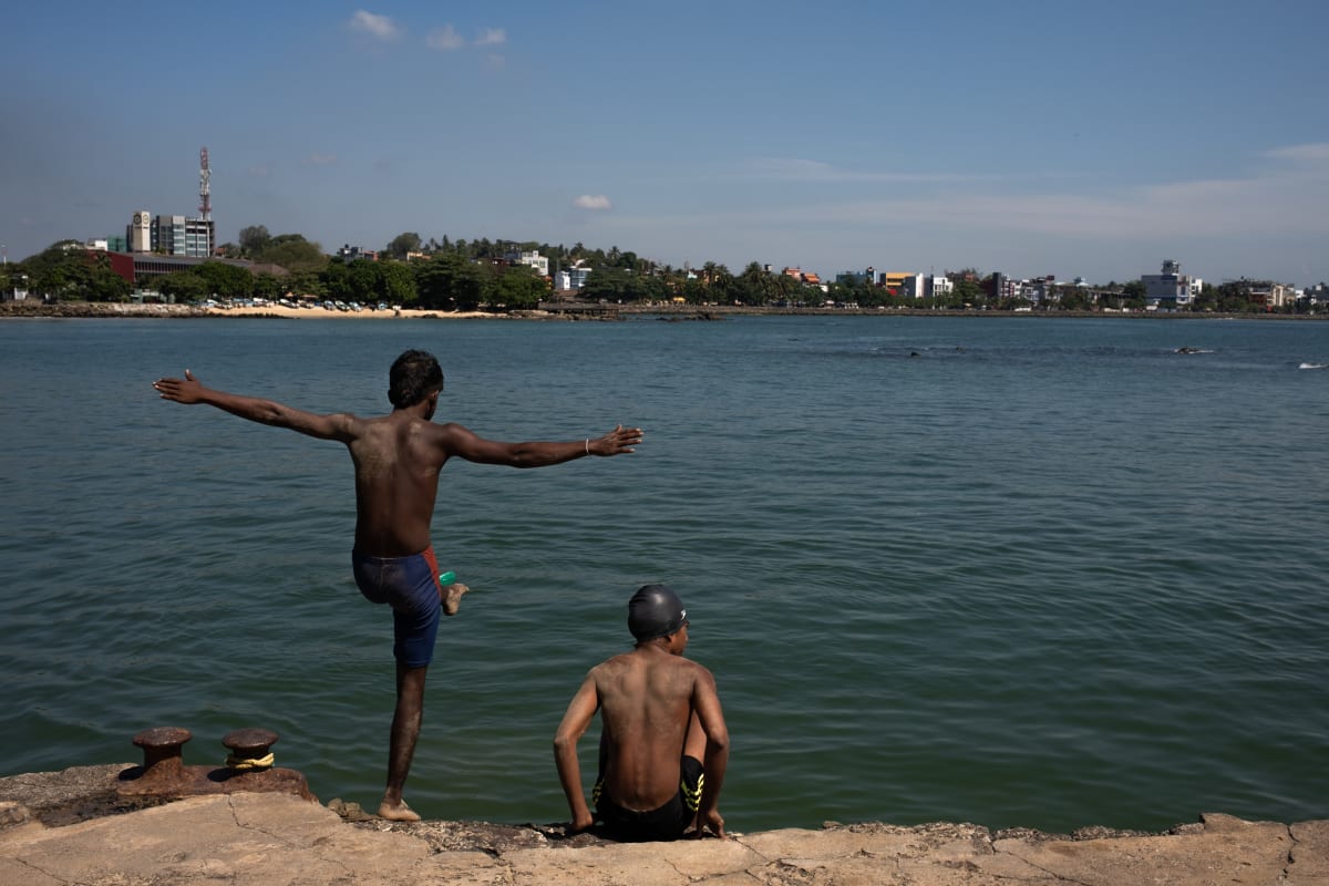 One boy balances mid-pose while another sits at the water's edge, a city shoreline across the bay — Luke Neville